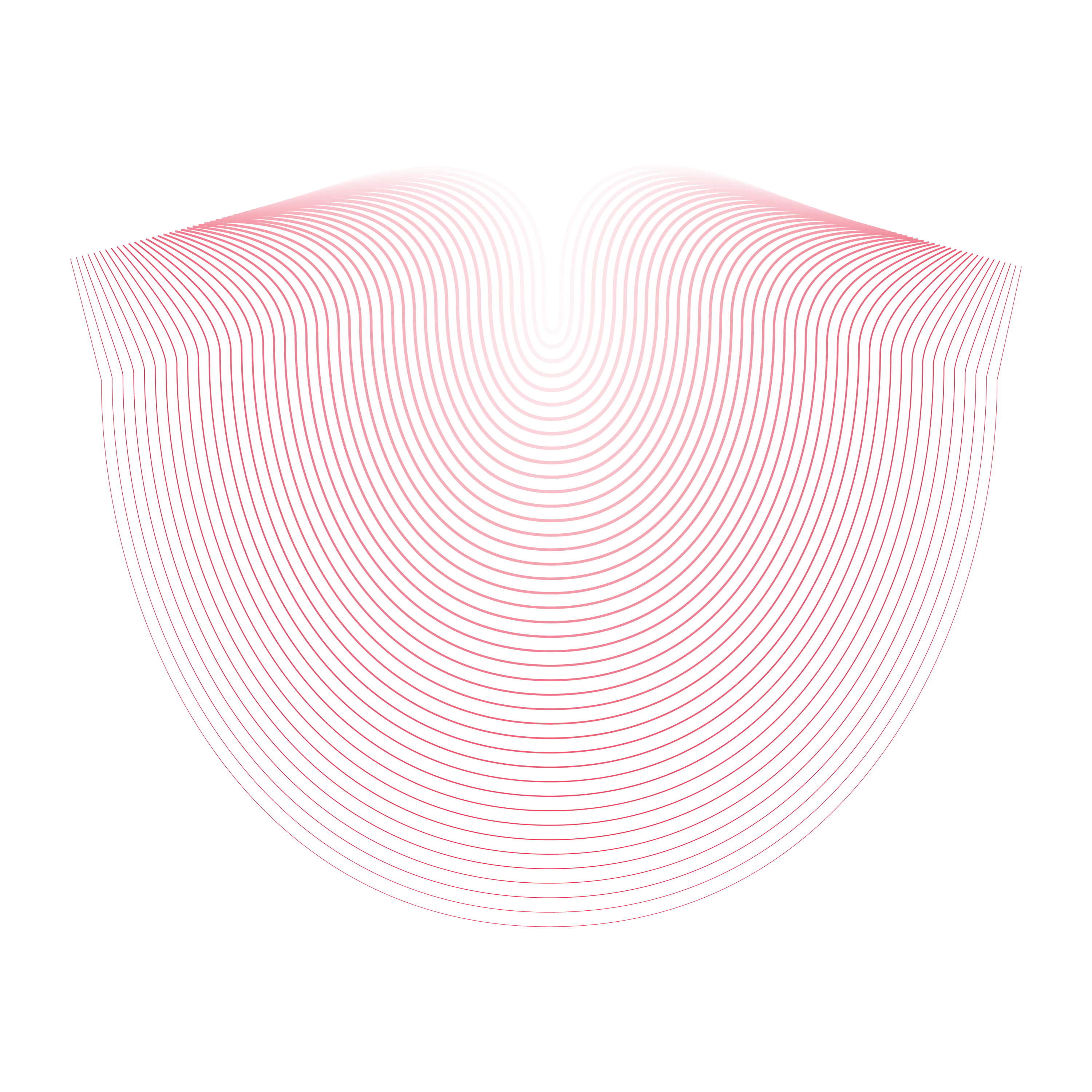 Abstrakte Grafik mit roten, geschwungenen Linien auf schwarzem Hintergrund – modern und dynamisch für Deine Karriere bei BDO.