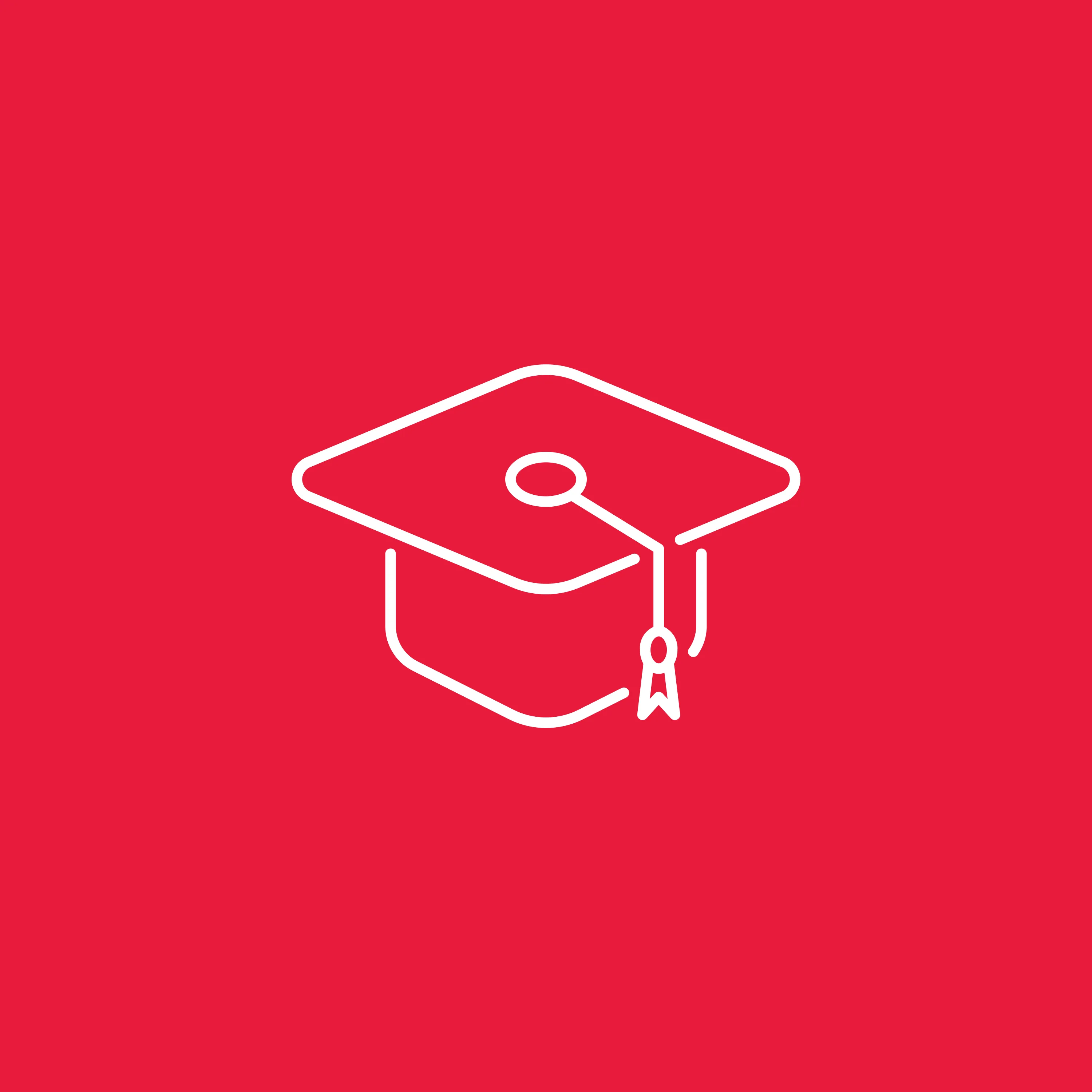 Ein weißes Symbol eines Doktorhuts auf rotem Hintergrund, steht für Bildung und Karrierechancen bei BDO AG.