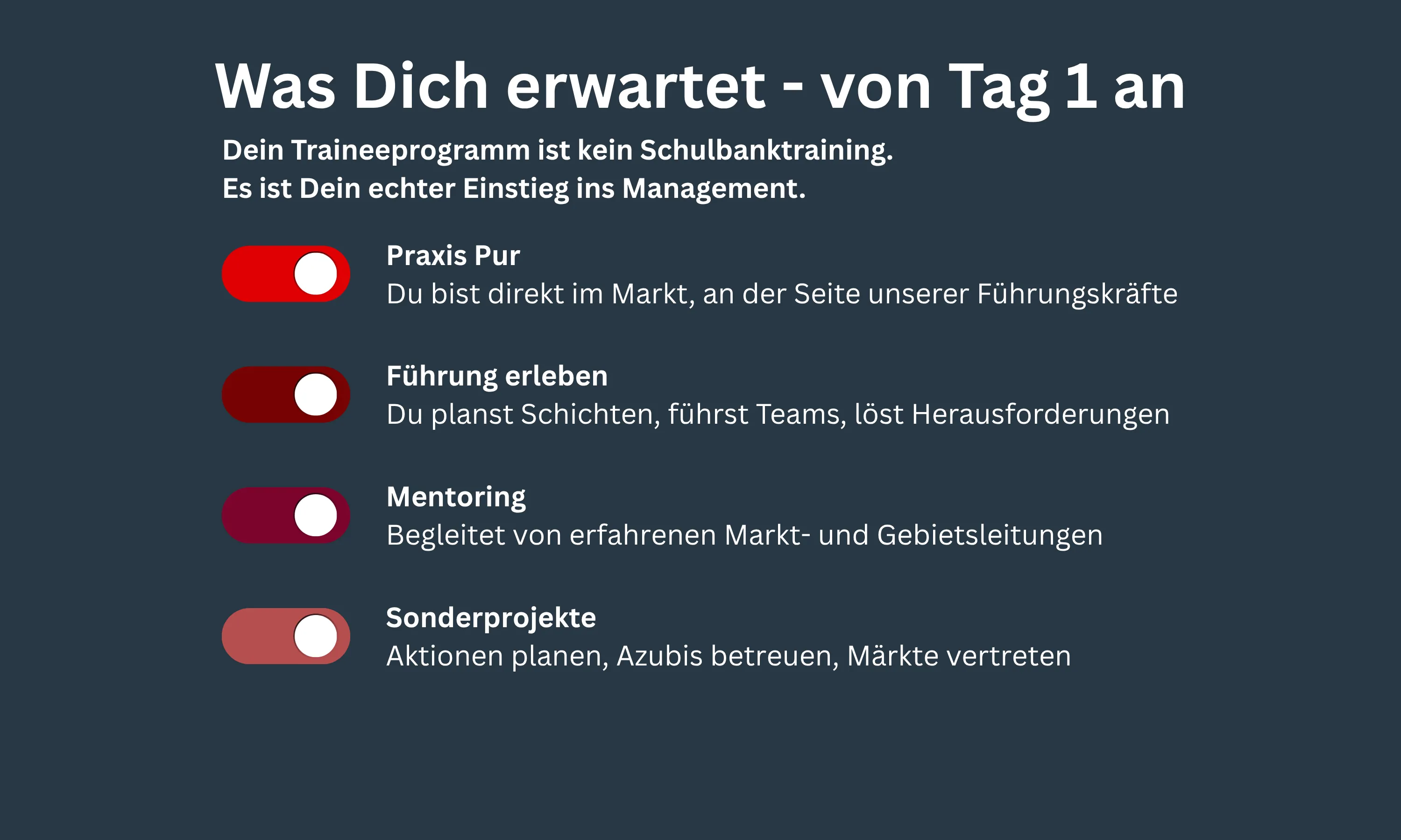 Textgrafik mit Informationen zum Traineeprogramm der Bünting Unternehmensgruppe im Einzelhandel: Praxis Pur, Führung erleben, Mentoring, Sonderprojekte.