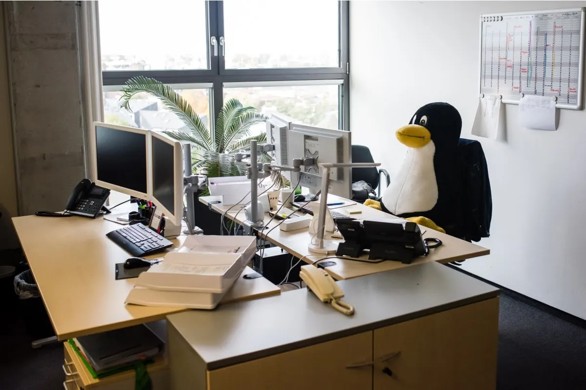 Pinguin am Schreibtisch