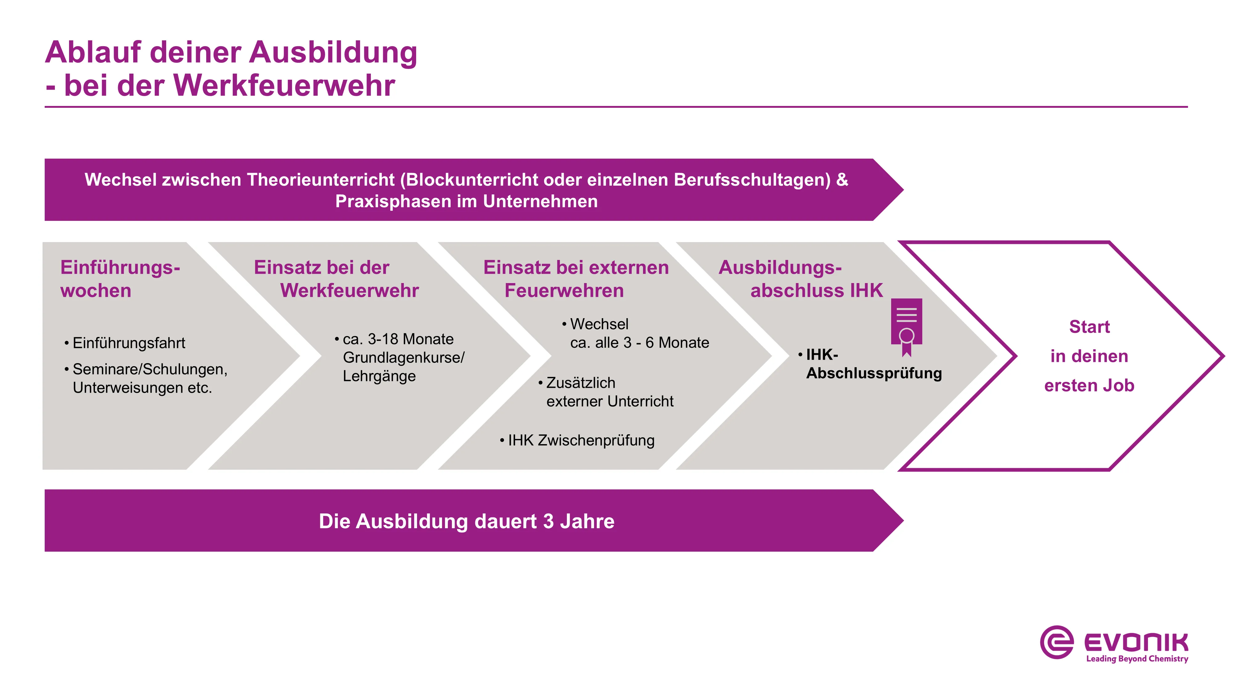 Ablaufdiagramm der Ausbildung