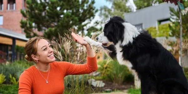 Eine Frau gibt einem schwarz-weißen Hund im Freien ein High-Five. Sie lächelt und genießt den Moment.