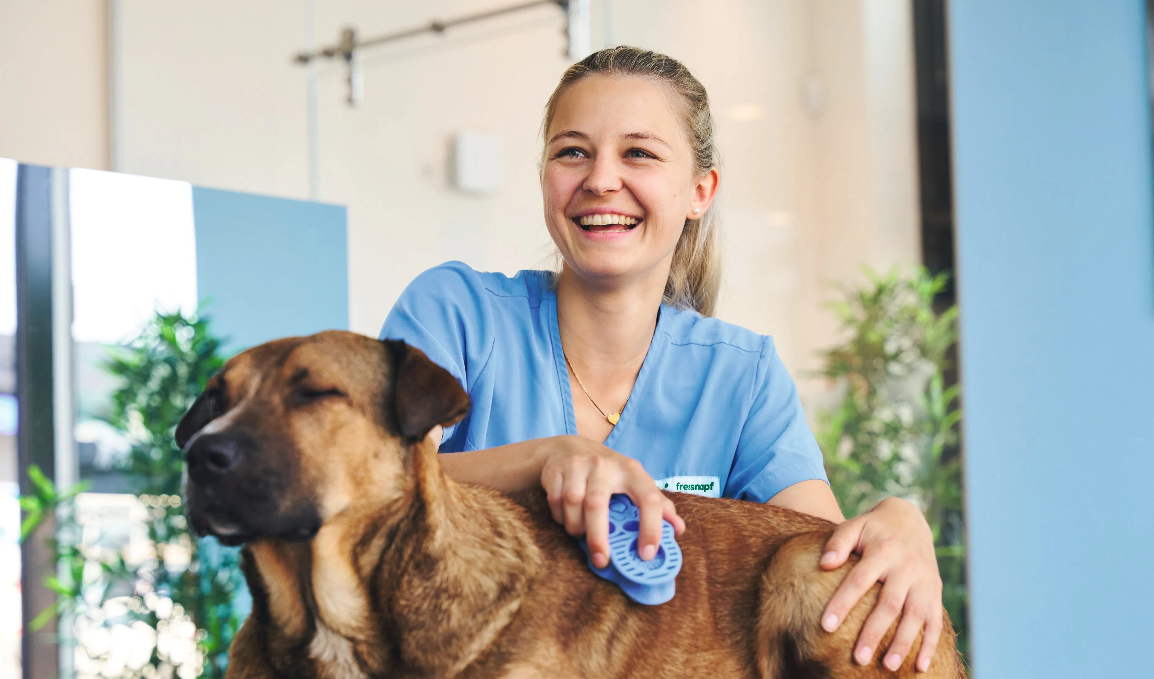 Eine lächelnde Frau in blauer Arbeitskleidung bürstet einen entspannten Hund in einem Fressnapf-Geschäft.