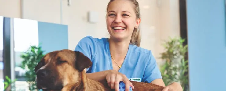 Eine lächelnde Frau in blauer Arbeitskleidung bürstet einen entspannten Hund in einem Fressnapf-Geschäft.