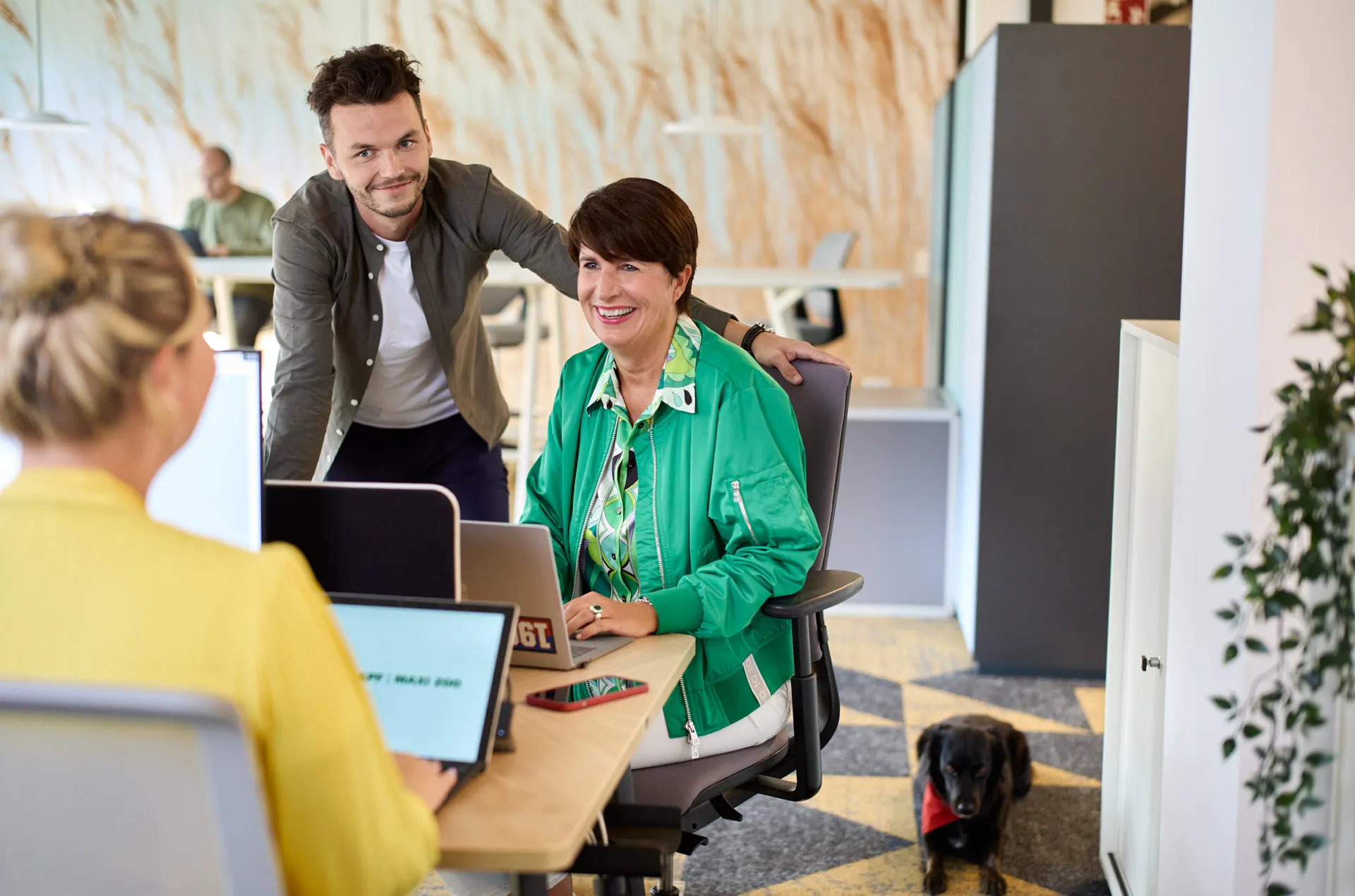 Zwei lächelnde Kollegen in einem modernen Büro bei Fressnapf Holding SE diskutieren am Laptop.