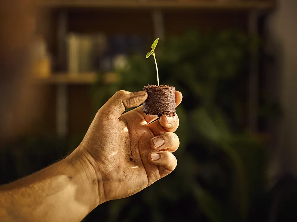 Eine Hand hält einen kleinen Setzling in Erde, symbolisierend Wachstum und Nachhaltigkeit bei HORNBACH.