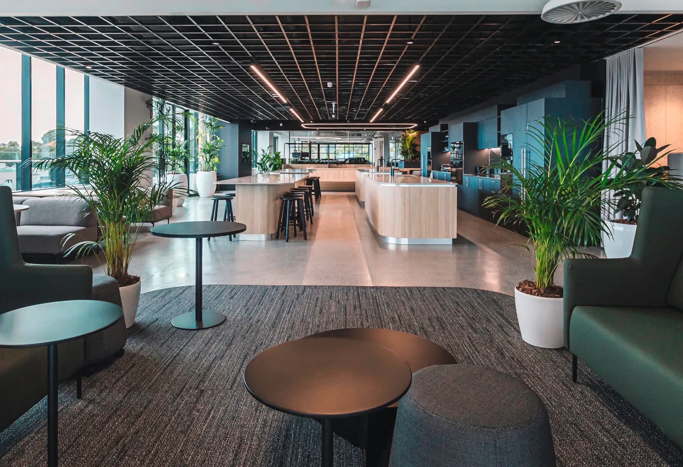 Modern and cozy Miele office lounge with stylish seating, lush plants, and a sleek communal table, perfect for casual meet-ups.