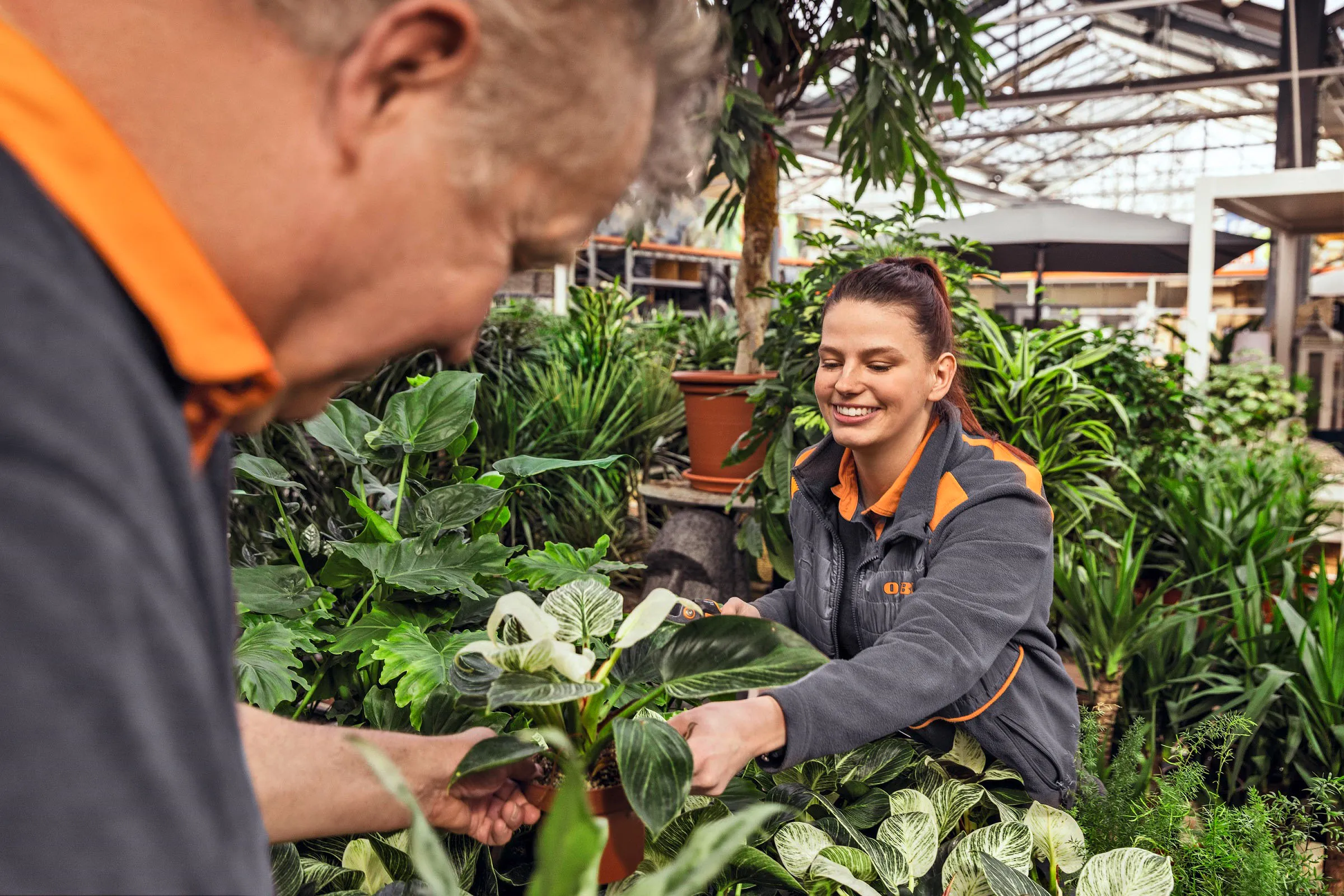 Zwei OBI-Mitarbeitende pflegen gemeinsam Pflanzen im Gartencenter und lächeln dabei.