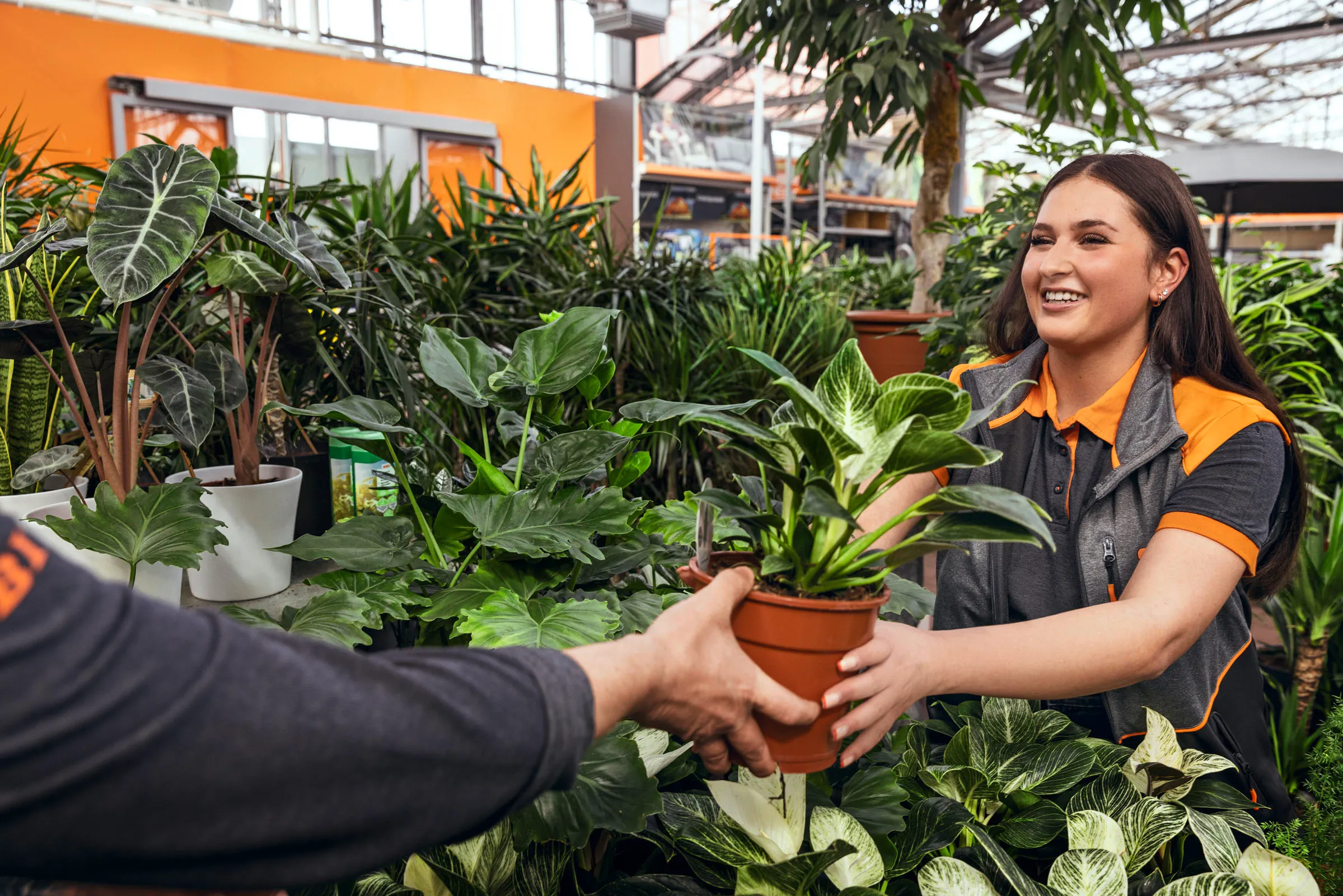Mitarbeiterin bei OBI überreicht einem Kunden mit einem Lächeln eine Topfpflanze im Gartencenter.