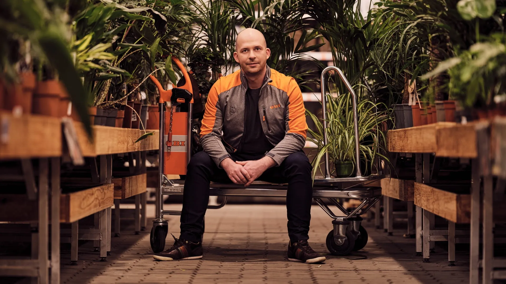 Ein Mitarbeiter von OBI AT GmbH sitzt in der Pflanzenabteilung auf einem Rollwagen, umgeben von grünen Pflanzen.