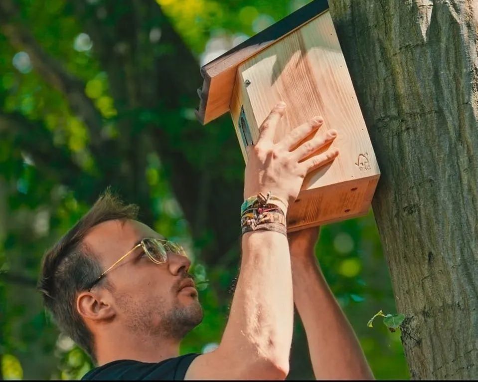 Mann montiert Vogelhaus 