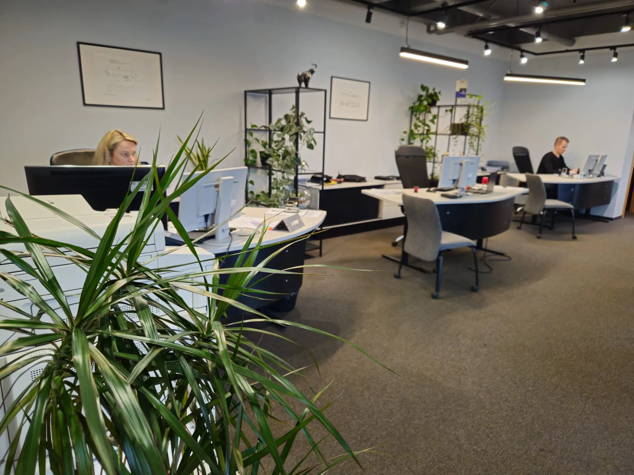 Chill office vibe at Schmitz Cargobull AG, with team members working at spacious desks surrounded by greenery.
