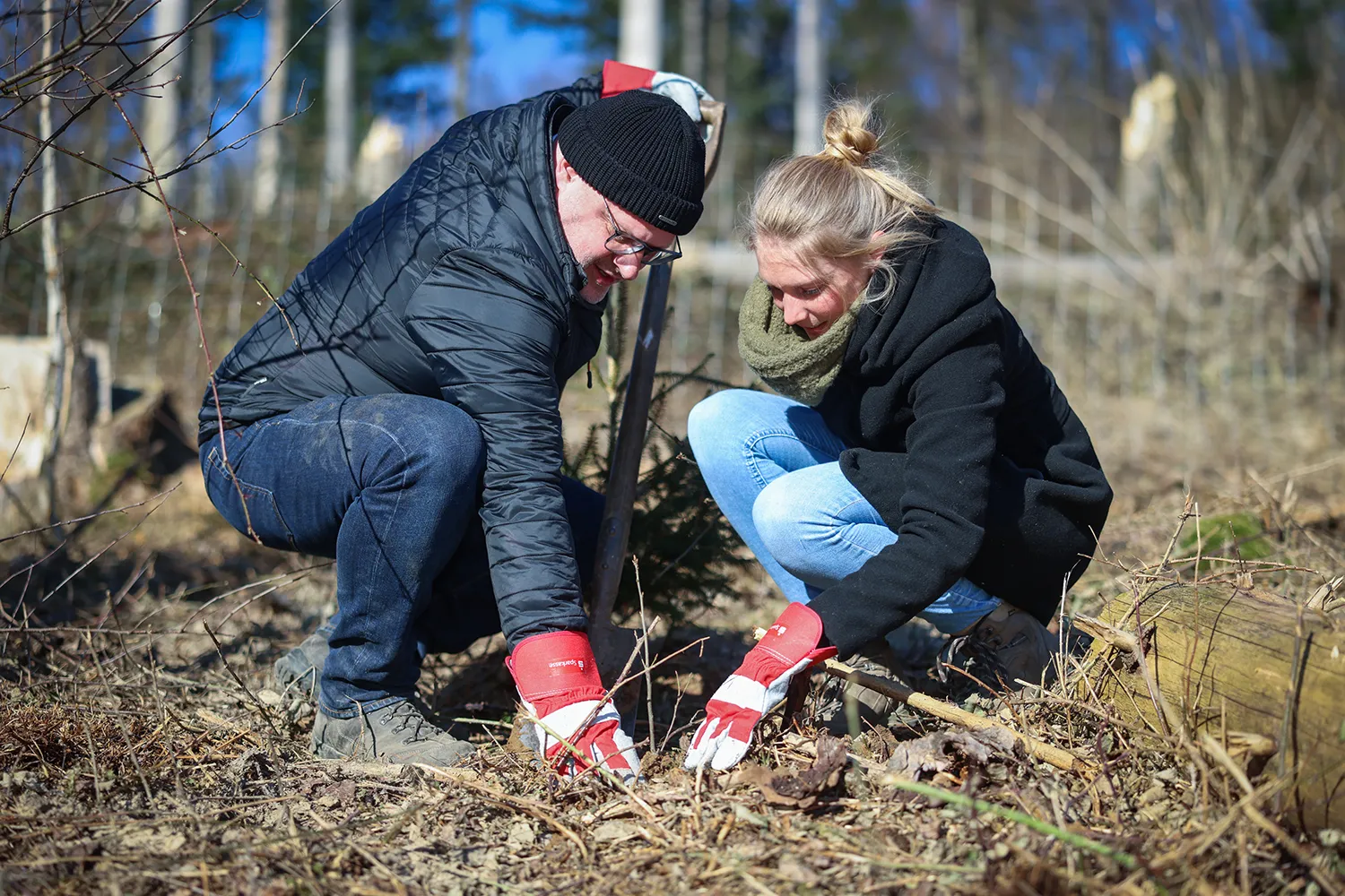 Zwei Personen pflanzen gemeinsam einen Baum im Freien, als Teil eines Umweltprojekts der Sparkasse Bielefeld.